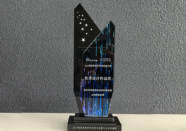 2024优秀设计作品奖-夜色空间壶镇店全宅影音空间